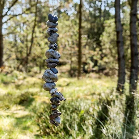 Hébergement de vacances 286-thisted-blamunkevej-49